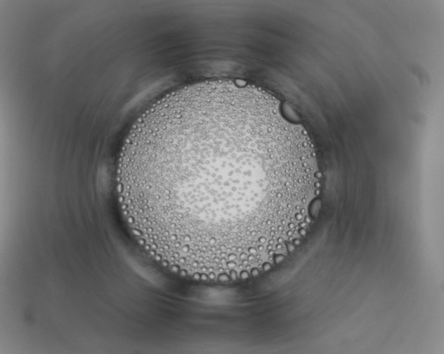 X0000113890165200910221424