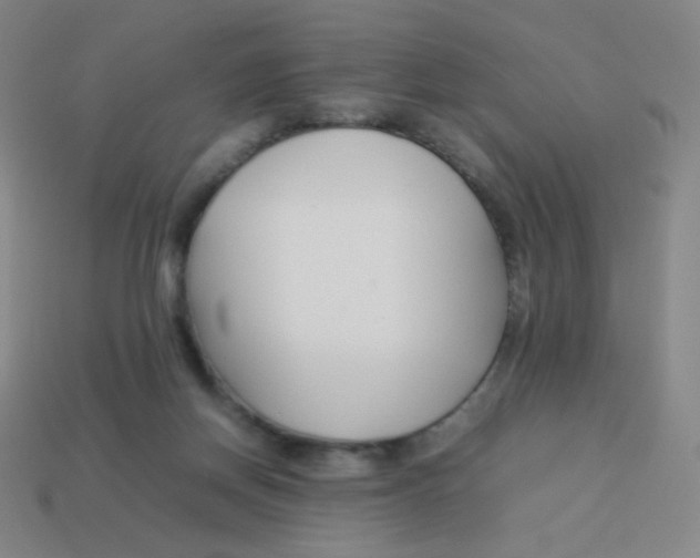 X0000113890166200910221424