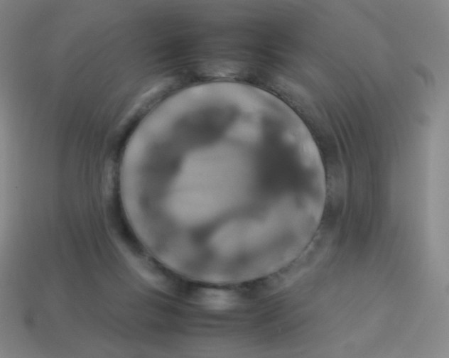 X0000113890167200910221424