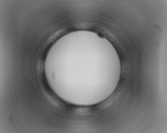 X0000113890168200910221424