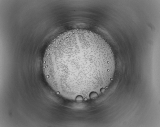 X0000113890169200910221424