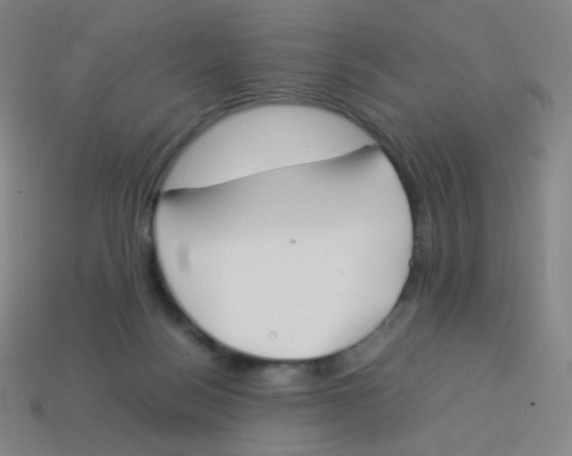 X0000113890172200910221424