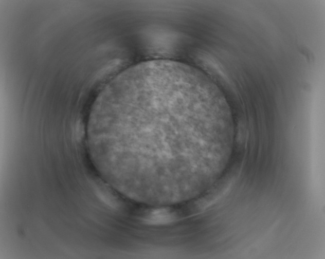 X0000113890173200910221424