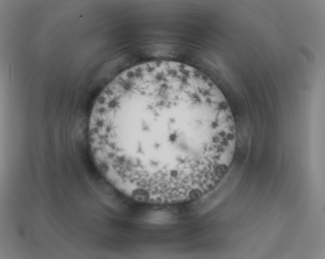 X0000113890175200910221424