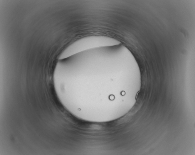 X0000113890176200910221424