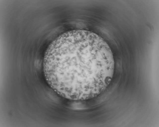 X0000113890177200910221424