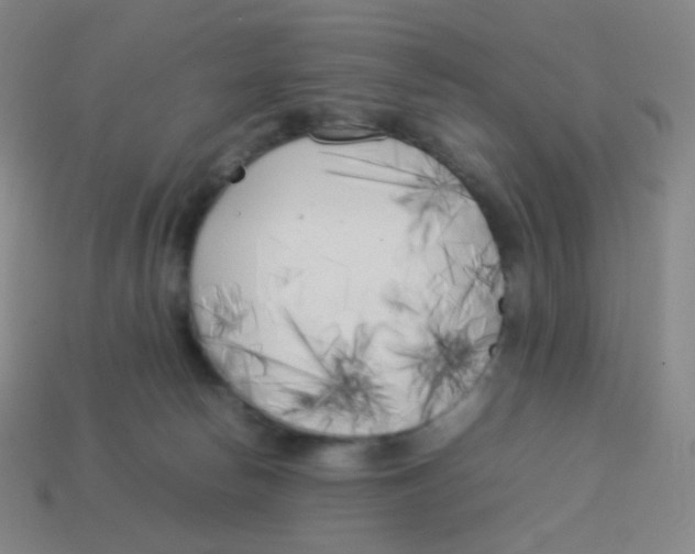 X0000113890178200910221424
