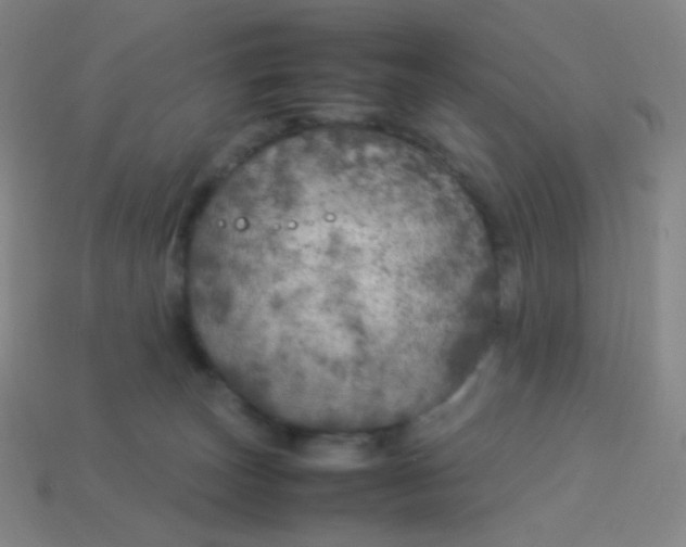 X0000113890179200910221424