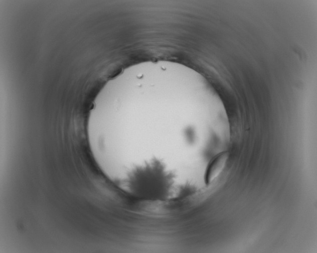 X0000113890182200910221424