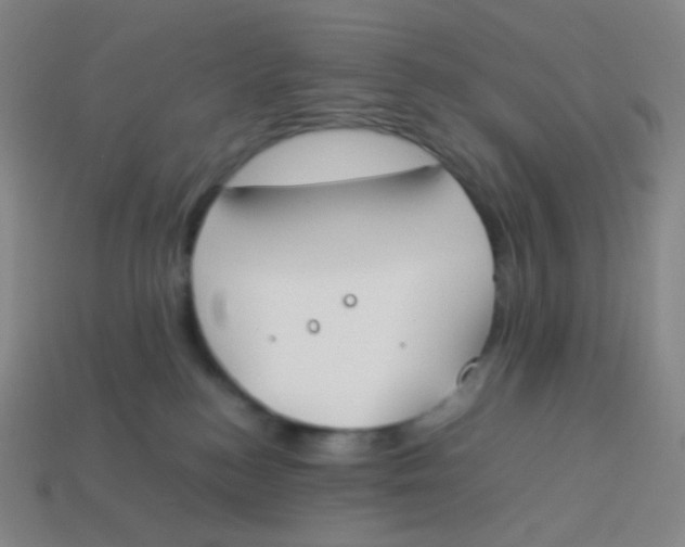 X0000113890184200910221424
