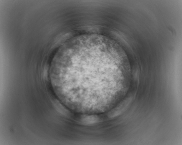 X0000113890185200910221424