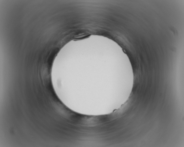 X0000113890186200910221424
