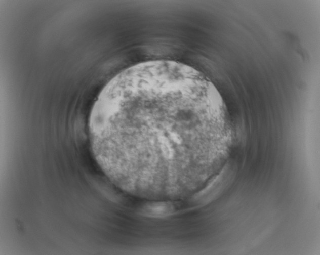 X0000113890187200910221424