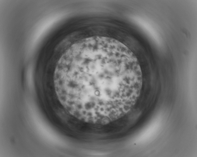 X0000113890189200910221425