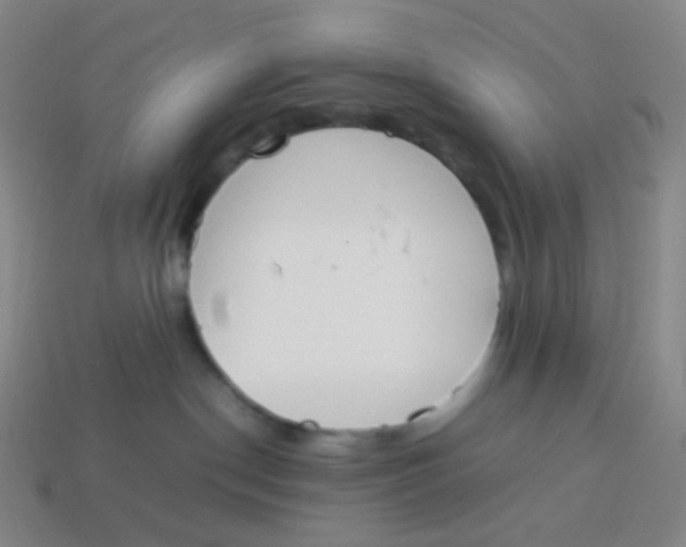 X0000113890190200910221425