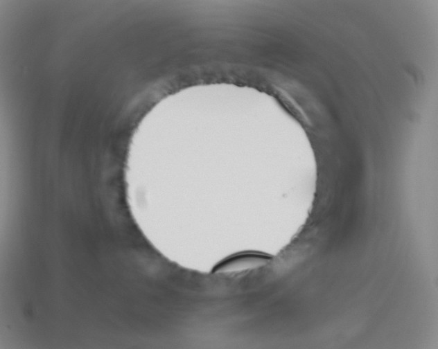 X0000113890192200910221425