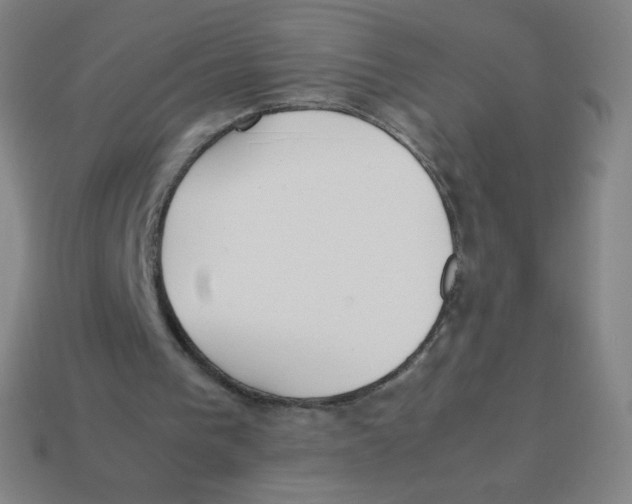 X0000113890193200910221424