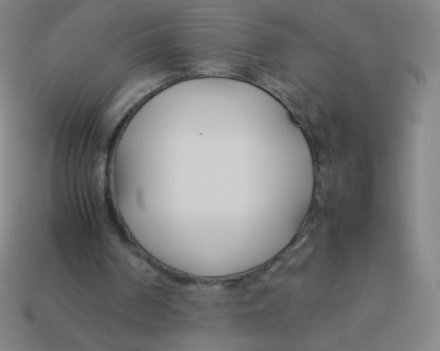X0000113890194200910221424