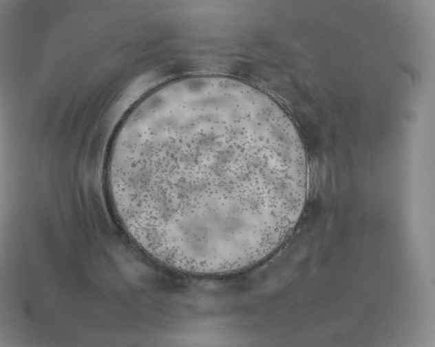 X0000113890195200910221424