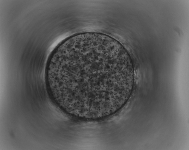X0000113890196200910221424