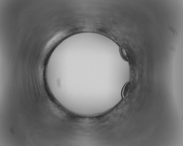 X0000113890197200910221424
