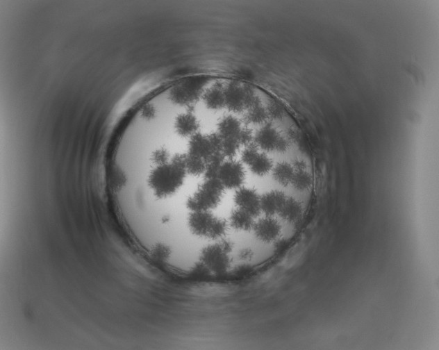 X0000113890198200910221424