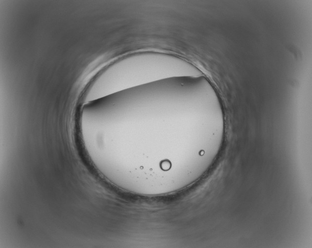 X0000113890199200910221424