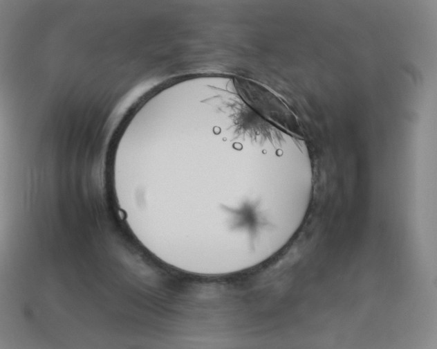 X0000113890200200910221424