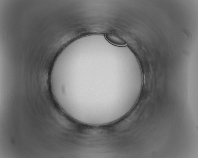 X0000113890201200910221424