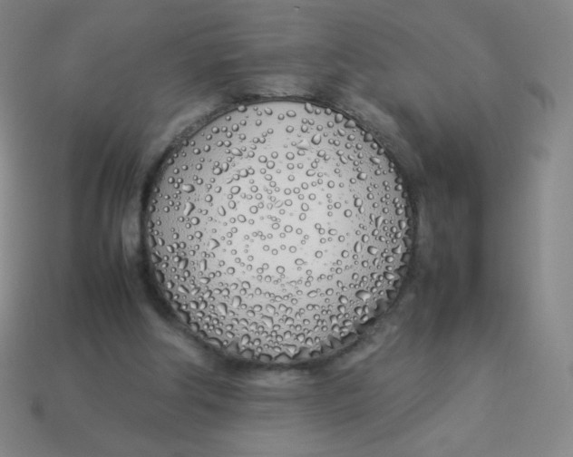 X0000113890202200910221424