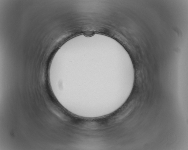 X0000113890203200910221424