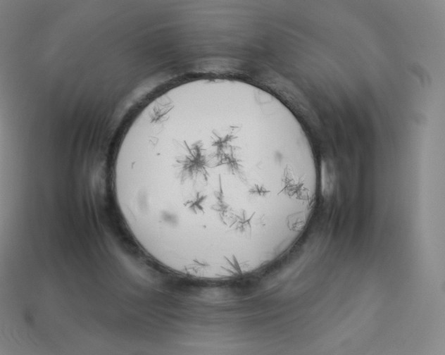 X0000113890204200910221424
