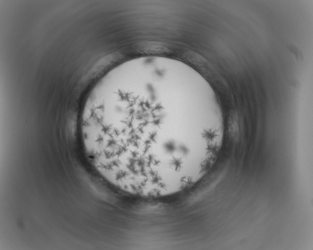 X0000113890206200910221424