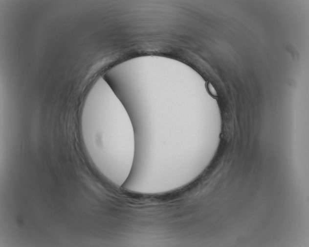 X0000113890207200910221424