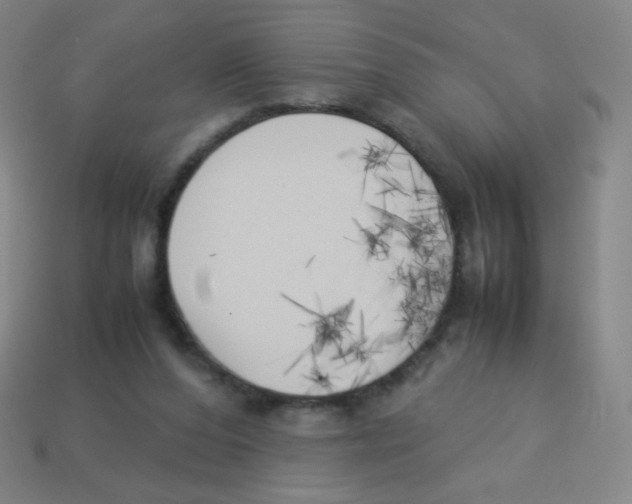 X0000113890208200910221424