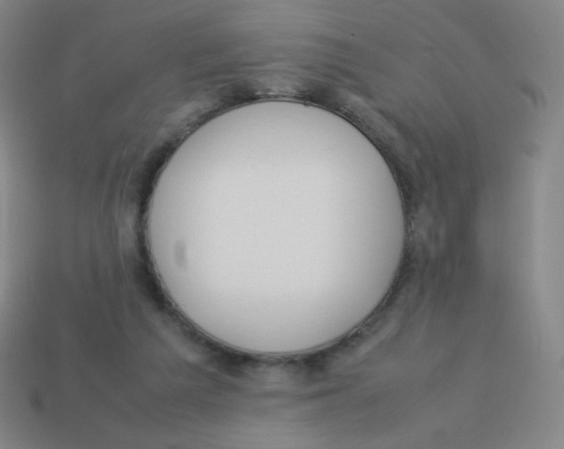 X0000113890209200910221424