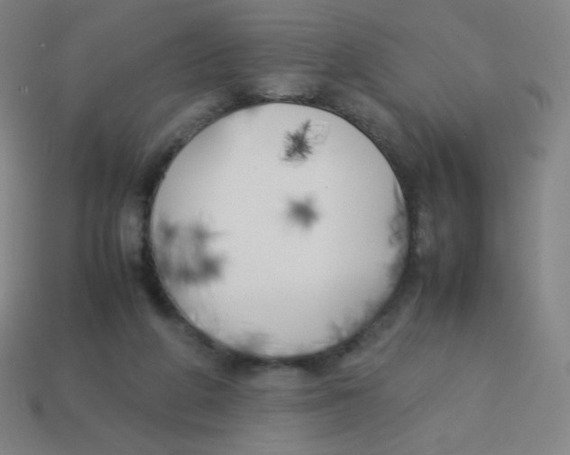 X0000113890210200910221424