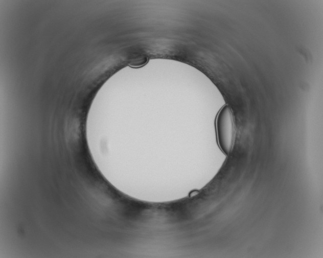 X0000113890211200910221424