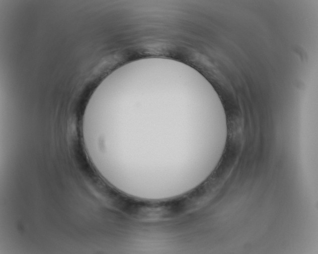X0000113890213200910221424
