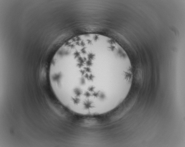 X0000113890214200910221424