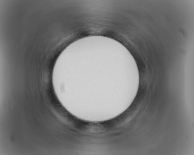 X0000113890215200910221424