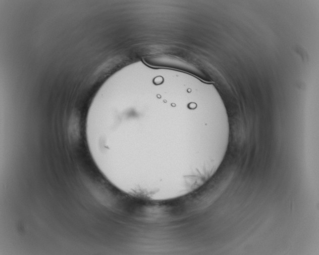 X0000113890216200910221424