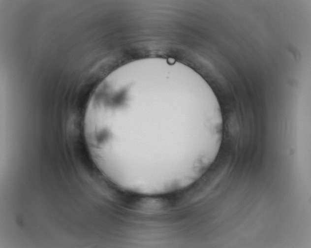 X0000113890218200910221424