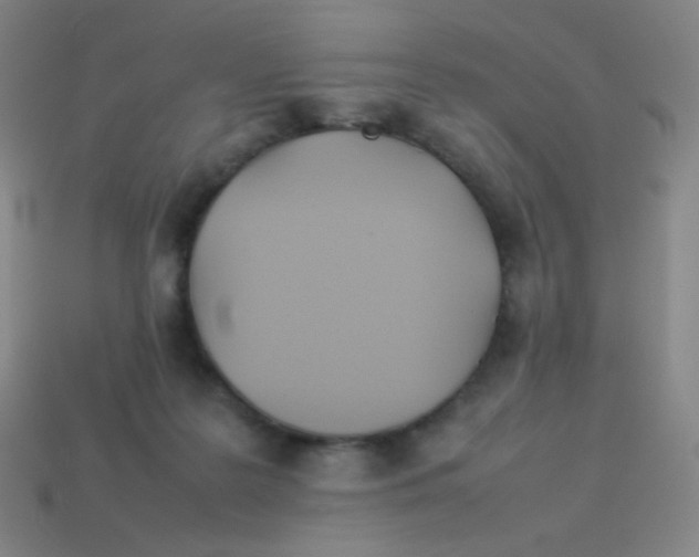 X0000113890219200910221424