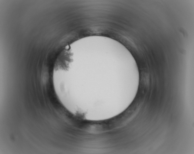 X0000113890220200910221424
