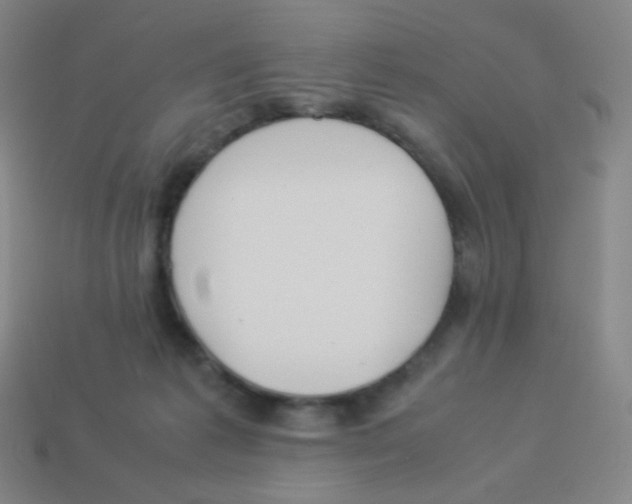 X0000113890221200910221424