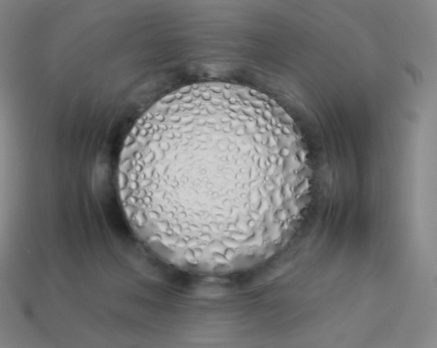 X0000113890222200910221424