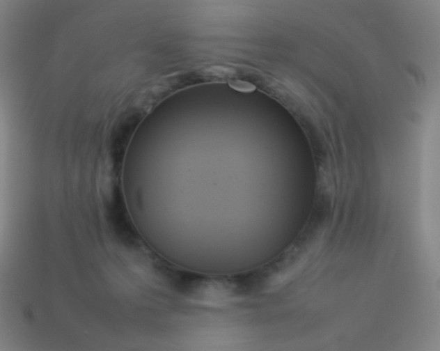 X0000113890223200910221424