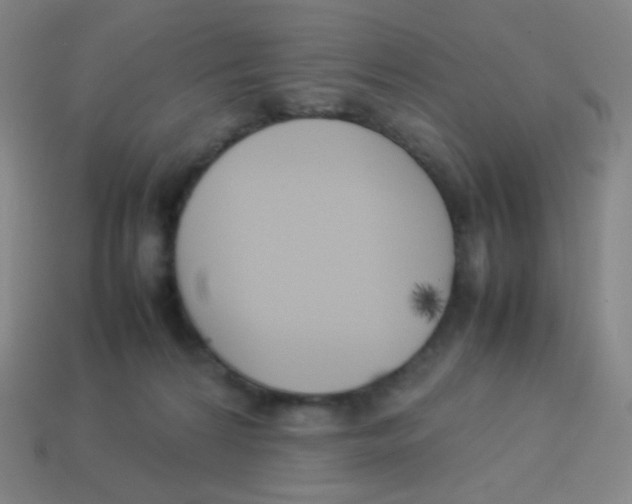 X0000113890224200910221424