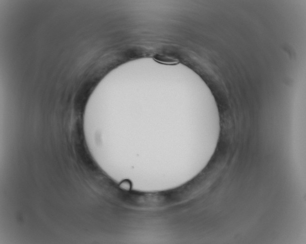 X0000113890225200910221424